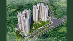 Imperia-Dreamville-PNN-Image