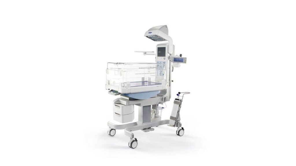10-10-PNN-image-4
