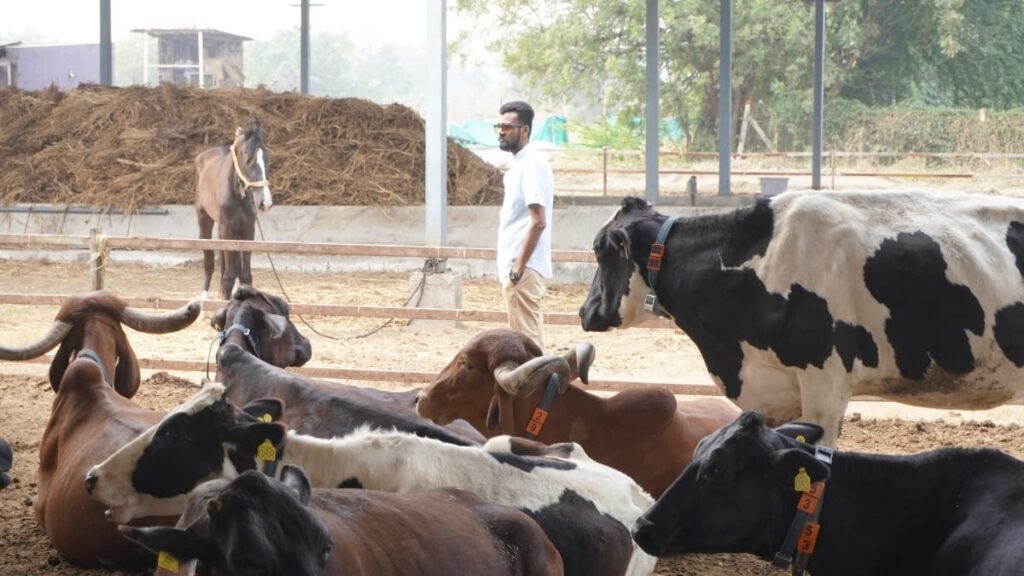 farm-n-1