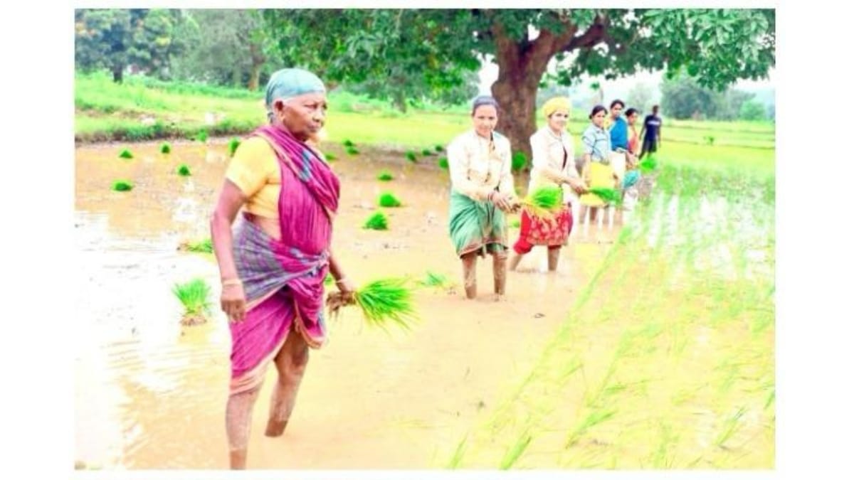 Vedanta-Lanjigarh