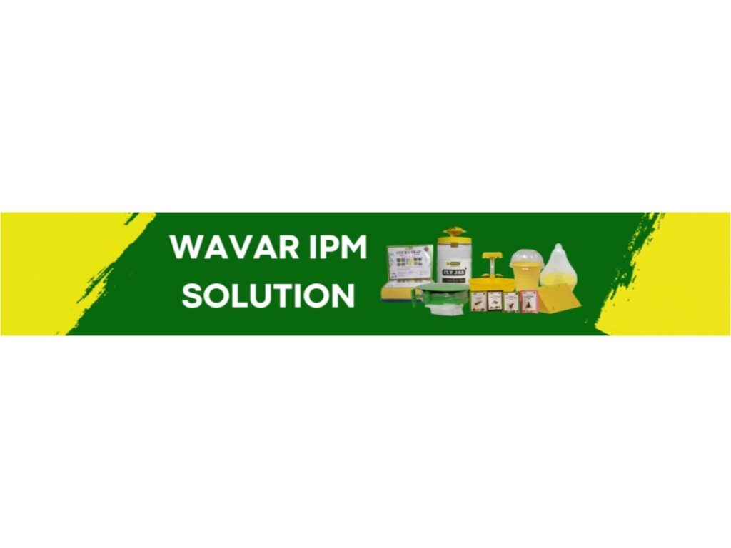 ANI-Wavar-1